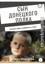 Сын донецкого полка