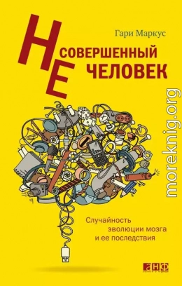 Несовершенный человек. Случайность эволюции мозга и ее последствия.