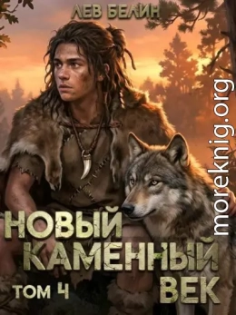 Новый каменный век. Том IV