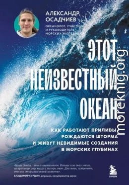 Этот неизвестный океан. Как работают приливы, рождаются шторма и живут невидимые создания в морских глубинах
