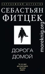 Дорога домой