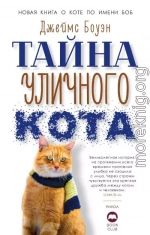 Тайна уличного кота