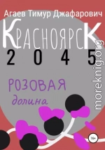 Красноярск 2045: Розовая долина