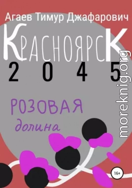 Красноярск 2045: Розовая долина