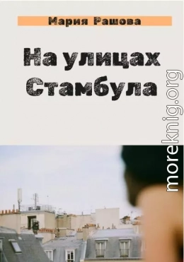 На улицах Стамбула