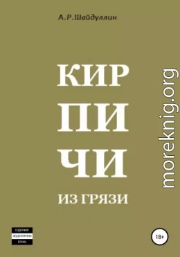 Кирпичи из грязи