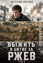 Выжить в битве за Ржев. Том 8