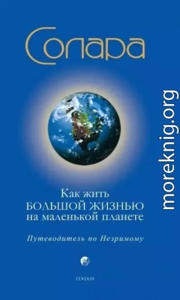 Как жить Большой Жизнью на маленькой планете: Путеводитель по Незримому