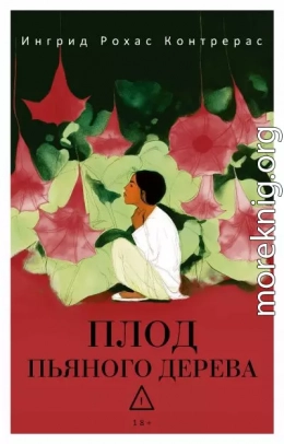 Плод пьяного дерева