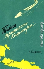 Тайна «Принцессы Кашмира»