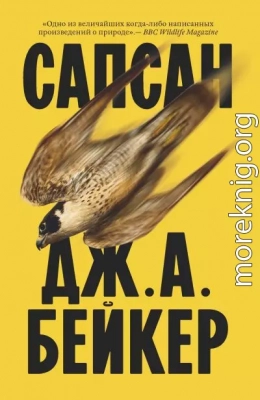 Сапсан