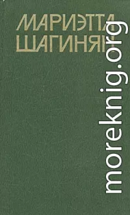 Приключение дамы из общества