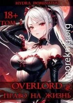 Overlord: Право на жизнь. Том 1