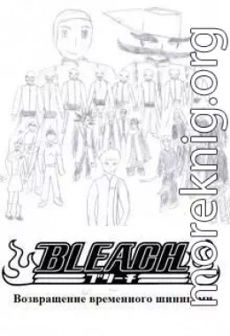 Bleach. Возвращение временного шинигами (СИ)