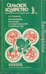 Витаминные растения в любительском садоводстве