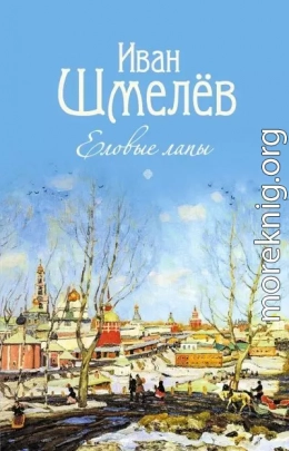 Еловые лапы