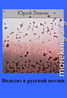 Водолаз в русской поэзии