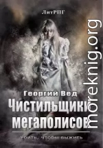 Чистильщики мегаполисов (СИ)