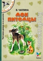 Мои питомцы [сборник 2000, худ. Т. Васильева]