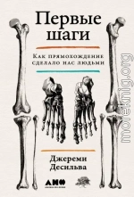 Первые шаги: Как прямохождение сделало нас людьми