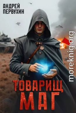 Товарищ маг