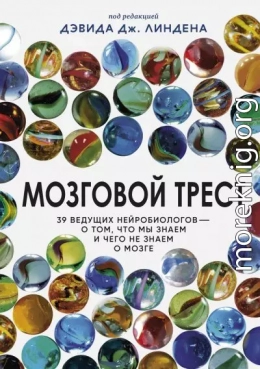 Мозговой трест. 39 ведущих нейробиологов – о том, что мы знаем и чего не знаем о мозге