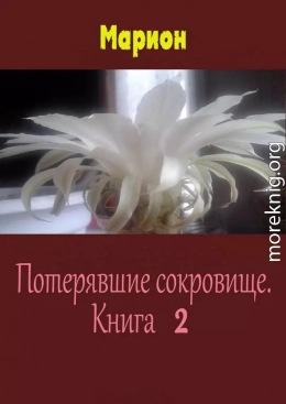 Потерявшие сокровище. Книга 2