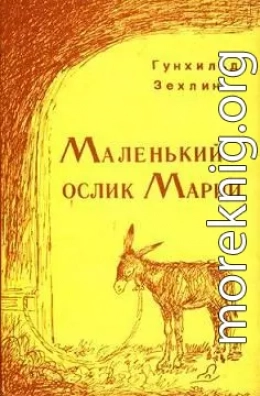 Маленький ослик Марии