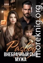 Развод. Внебрачный сын мужа