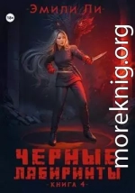 Черные лабиринты. Книга 4