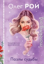 Пазлы судьбы