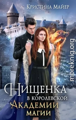 Нищенка в Королевской Академии магии. Зимняя практика 2