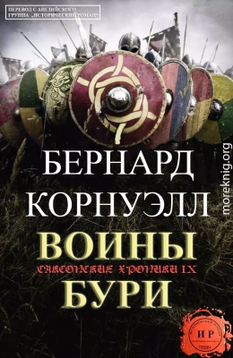 Воины бури