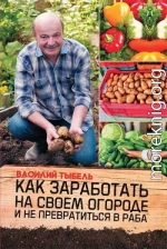 Как заработать на своем огороде и не превратиться в раба