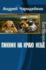 Пикник на краю неба (СИ)