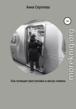 Как полиция преступника в метро ловила