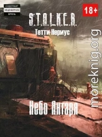 S.T.A.L.K.E.R. Небо Янтаря