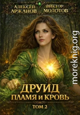 Друид. Пламя и кровь