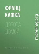 Дорога домой