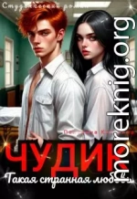 Чудик. Такая странная любовь