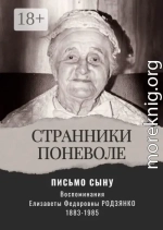 Письмо сыну. Воспоминания. Странники поневоле
