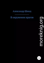 В окружении врагов