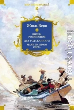 Школа робинзонов. Два года каникул. Маяк на краю света