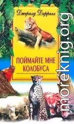 Поймайте мне колобуса