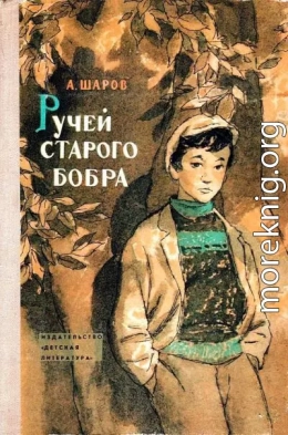 Ручей старого бобра