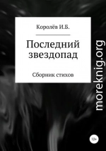 Последний звездопад. Сборник стихов