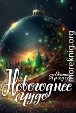 Новогоднее чудо