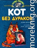 Кот без дураков (пер. В.Ланчиков)