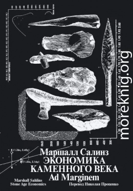 Экономика каменного века