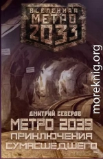 Метро 2039. Приключения сумасшедшего